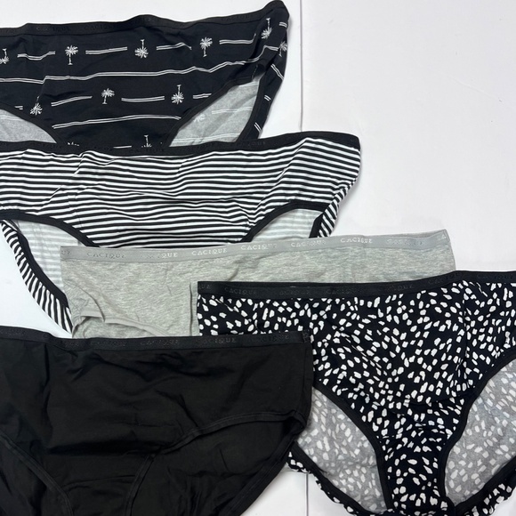 cacique 5-pack panties 18-20 - Picture 2 of 5
